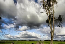 1xbet体育亚洲官网-蒙特雷进攻端火力强劲，欲破曼联防线