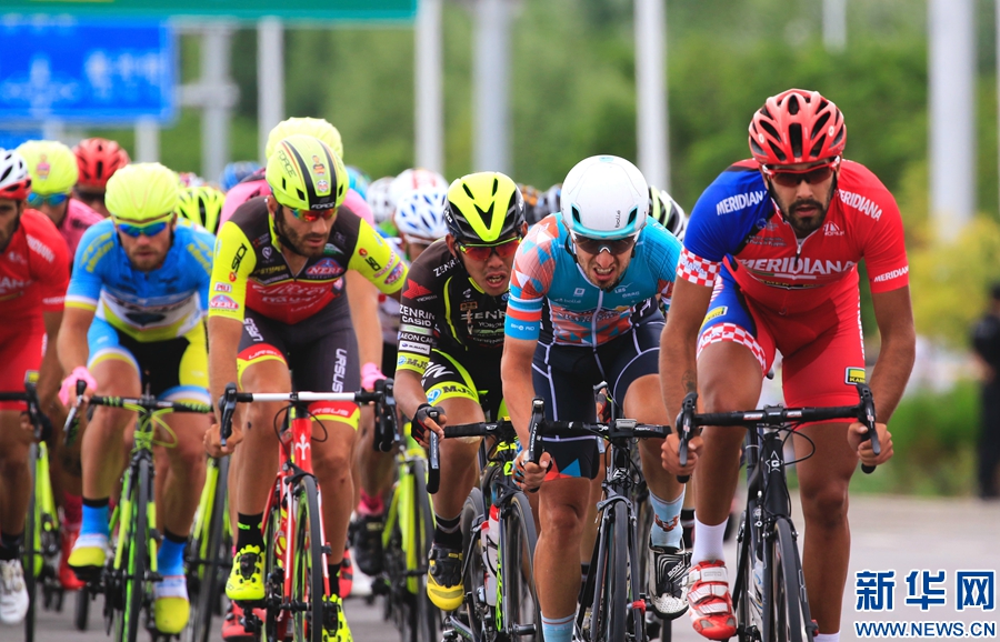 青海队主教练换帅，球队迎来新气象的简单介绍