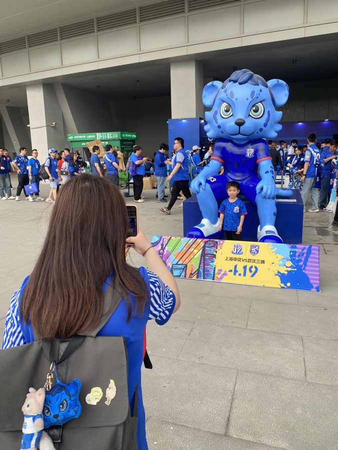 上海申花主场告捷，江苏舜天再次碰壁的简单介绍